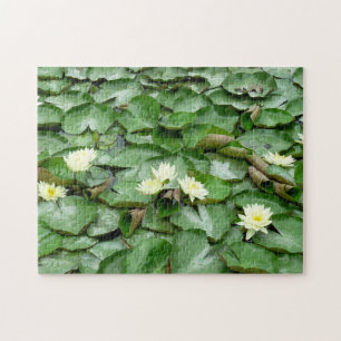 Quebra-cabeça Lillies de Água