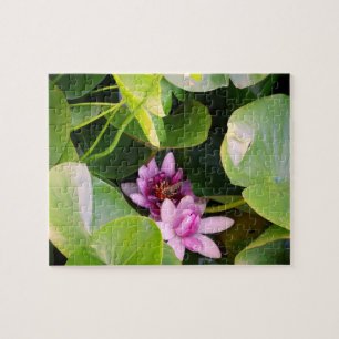 Quebra-cabeça Lilly De Água Rosa, Flor De Lotus
