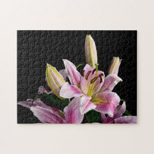quebra-cabeça Lily 9544-Stargazer