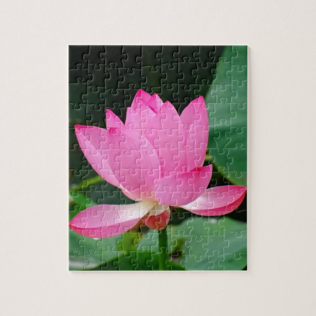 Quebra-cabeça Lily de Água Rosa num Pond (Vertical)