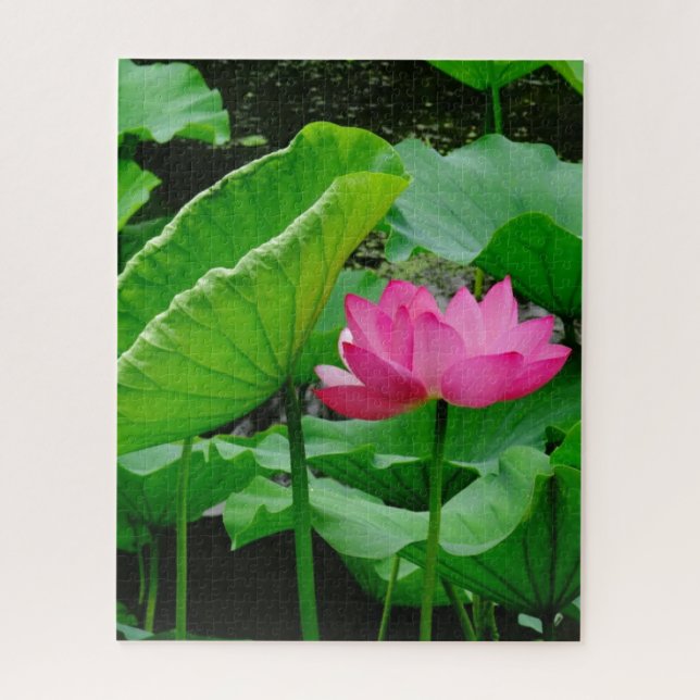 Quebra-cabeça Lily de Água Rosa Sangrenta (Vertical)