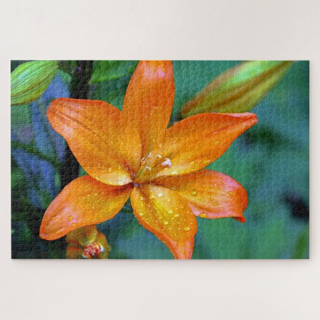 Quebra-cabeça Lily e Raindrops (Horizontal)