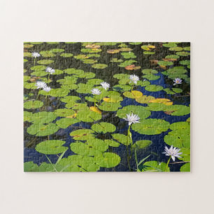 Quebra-cabeça Lily Pad Pond Photo ou Your Photo