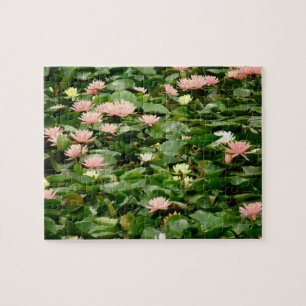 Quebra-cabeça Lily Pond