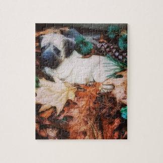 Quebra-cabeça Limpe o protetor