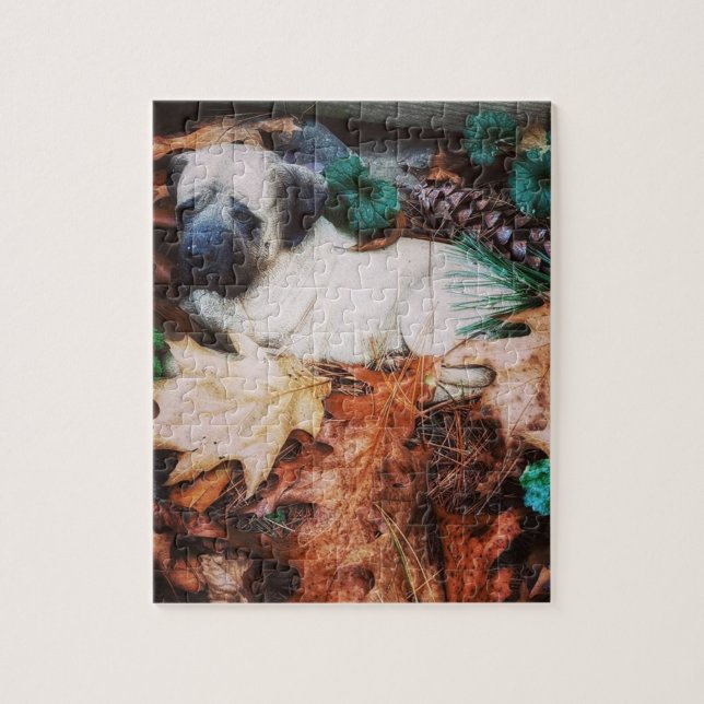 Quebra-cabeça Limpe o protetor (Vertical)