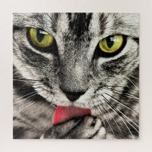 Quebra-cabeça Limpeza de Gatos -