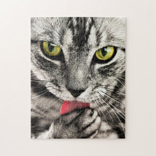 Quebra-cabeça Limpeza de gatos