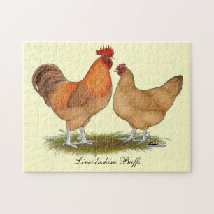 Quebra-cabeça Lincolnshire Buff Chickens