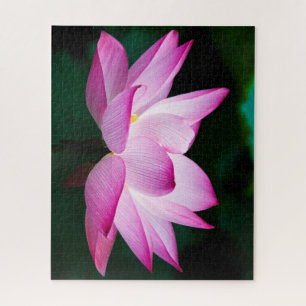 Quebra-cabeça Linda Flor de Lotus Rosa Bloqueia
