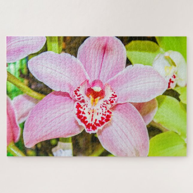 Quebra-cabeça Linda flor roxa e branca (Horizontal)