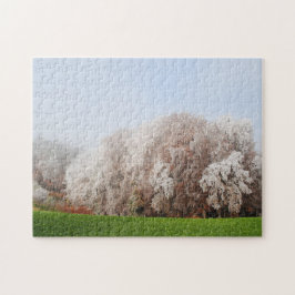 Quebra-cabeça Linda Floresta de outono Áustria Paisagem