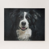 Border Collie na Exposição - Quebra-Cabeça - Geniol