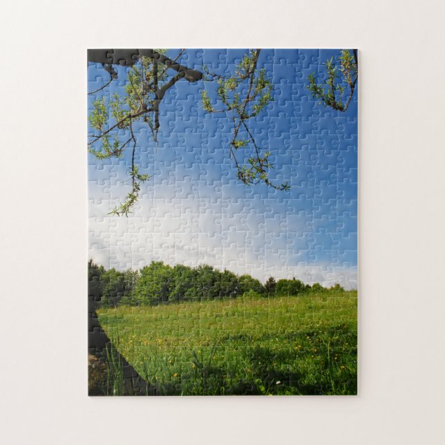 Quebra-cabeça Linda paisagem de verão florescendo no Prado alpin (Vertical)