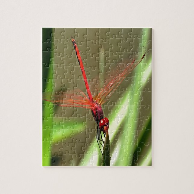 Quebra-cabeça Linda pintura acrílica do Firecracker Dragonfly (Vertical)