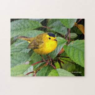 Quebra-cabeça Linda Warbler de Wilson na Árvore Cerejeira