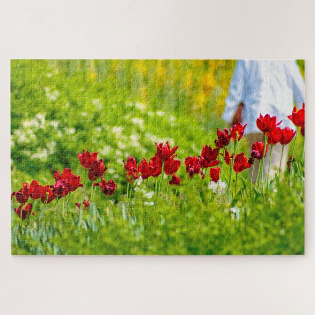 Quebra-cabeça Lindas flores vermelhas, Países Baixos (Horizontal)