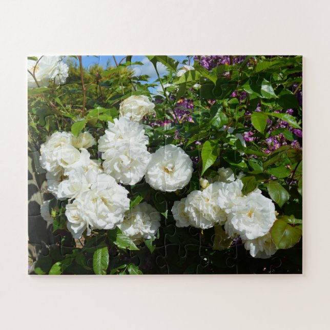 Quebra-cabeça Lindas rosas brancas (Horizontal)