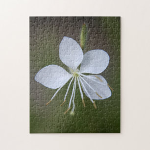 Quebra-cabeça Lindheimeri de Gaura - borboletas girando