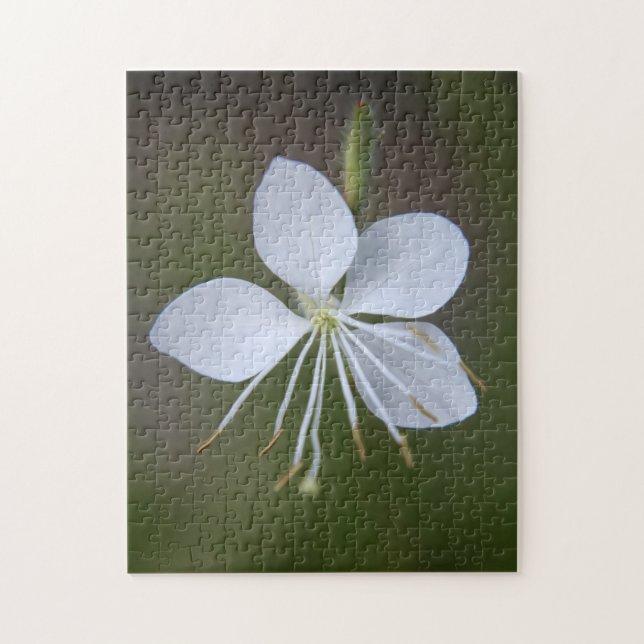 Quebra-cabeça Lindheimeri de Gaura - borboletas girando (Vertical)