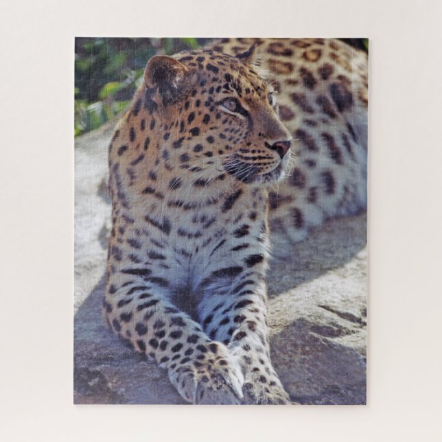Quebra-cabeça Lindo Leopardo - (Vertical)