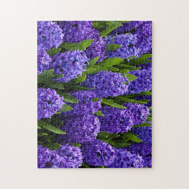 Quebra-cabeça Lindos Hyacintos Azul/Roxo (Vertical)
