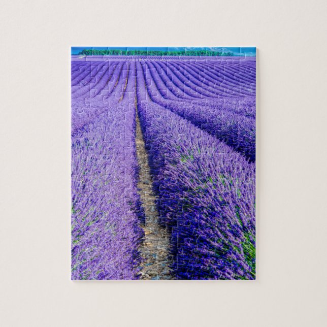 Quebra-cabeça Linhas de Lavanda, Provença, França (Vertical)