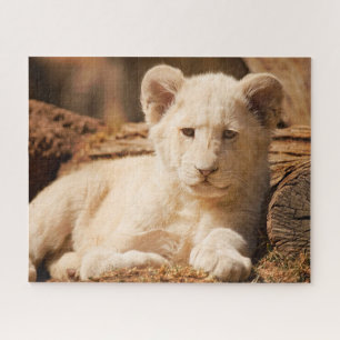 Quebra-cabeça Lion Cub