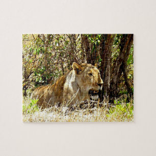 Quebra-cabeça Lionalidade