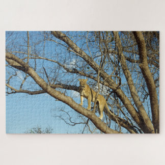 Quebra-cabeça Lioness em uma árvore