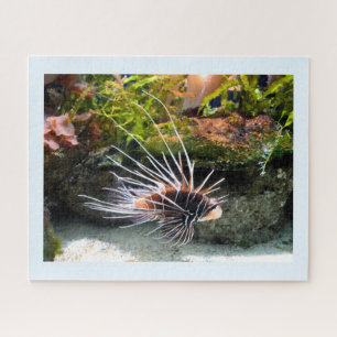 Quebra-cabeça Lionfish