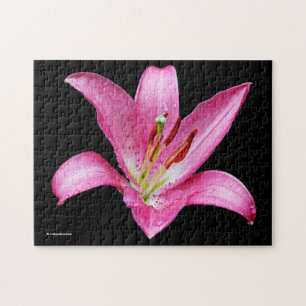 Quebra-cabeça Lírio Oriental Rosa Elegante Lilium Flor Stargazer