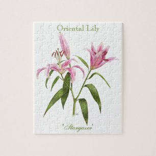 Quebra-cabeça Lírio oriental - Stargazer