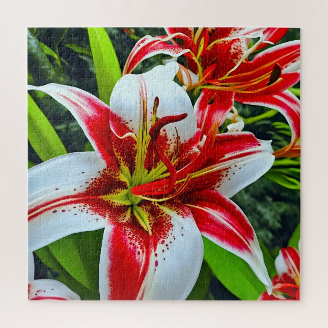 Quebra-cabeça Lírios atordoantes (Vertical)