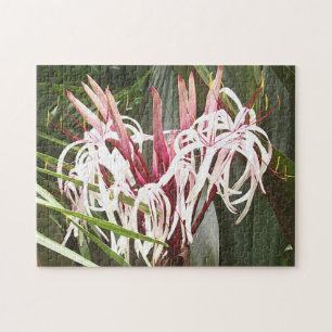 Quebra-cabeça Lírios da rainha Emma Crinum
