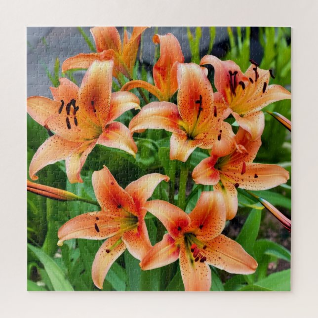 Quebra-cabeça Lírios Laranja Vibrantes no Sangue do Cheio (Vertical)