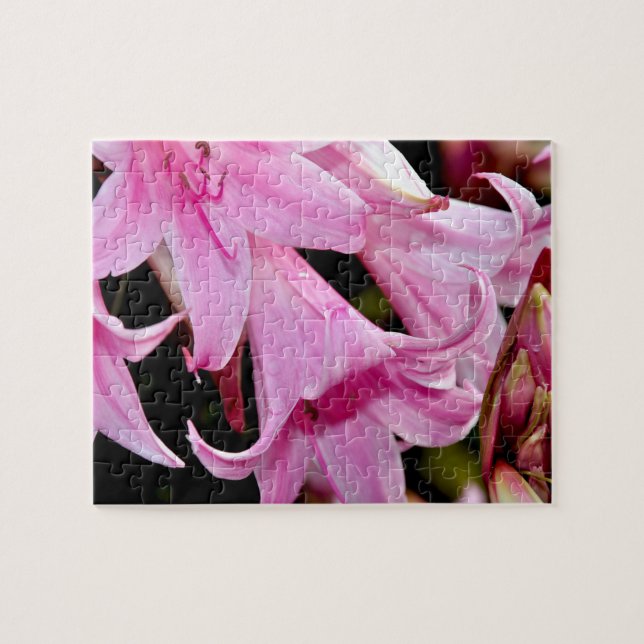 Quebra-cabeça Lírios rosa adoráveis (Horizontal)