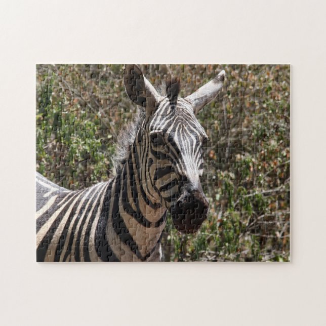 Quebra-cabeça listrado de zebra (Horizontal)