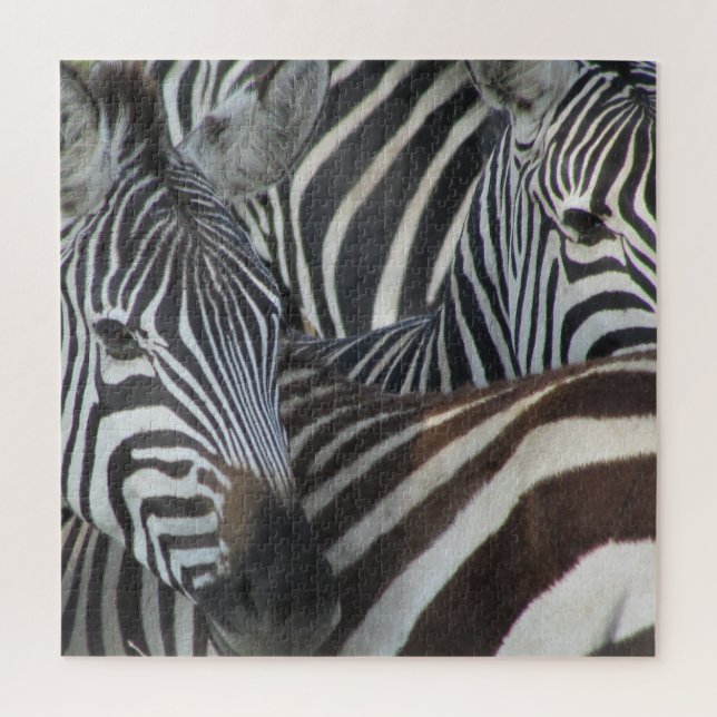 Quebra-cabeça listras de zebra (Vertical)