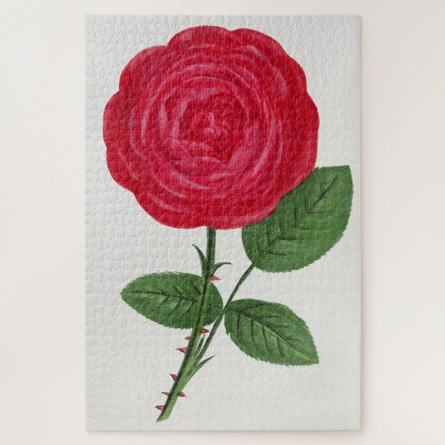 Quebra-cabeça Litografia de Rosa Antiga, François-Frédéric Grobo (Vertical)