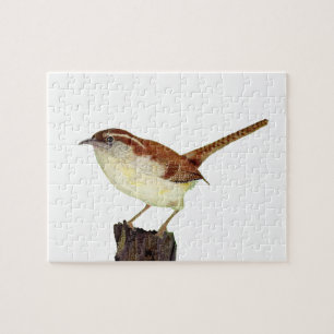 Quebra-cabeça Little Wren