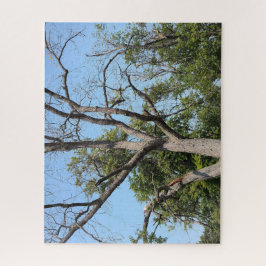 Quebra-cabeça Livre, Barém, mas ainda se agarrando à vida