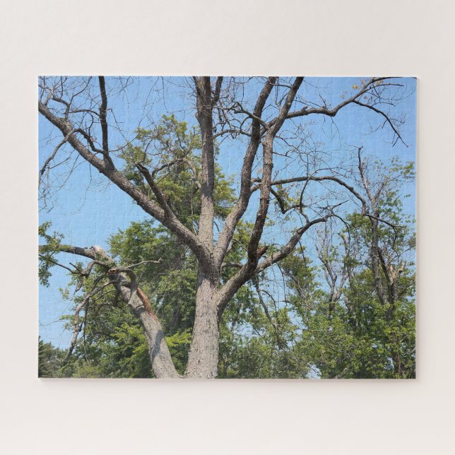 Quebra-cabeça Livre, Barém, mas ainda se agarrando à vida (Horizontal)