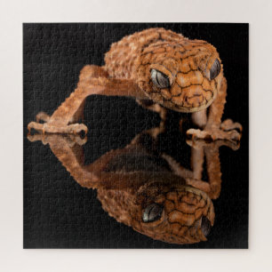 Quebra-cabeça Lizard Pequeno Cute com Reflexão