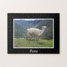 Llama Inca Trail Cusco Peru Andes Mountain Inka
