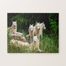 Quebra-cabeça lobo selvagem