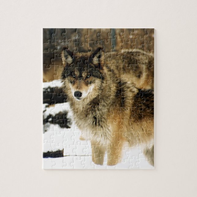Quebra-cabeça Lobos na neve (Vertical)