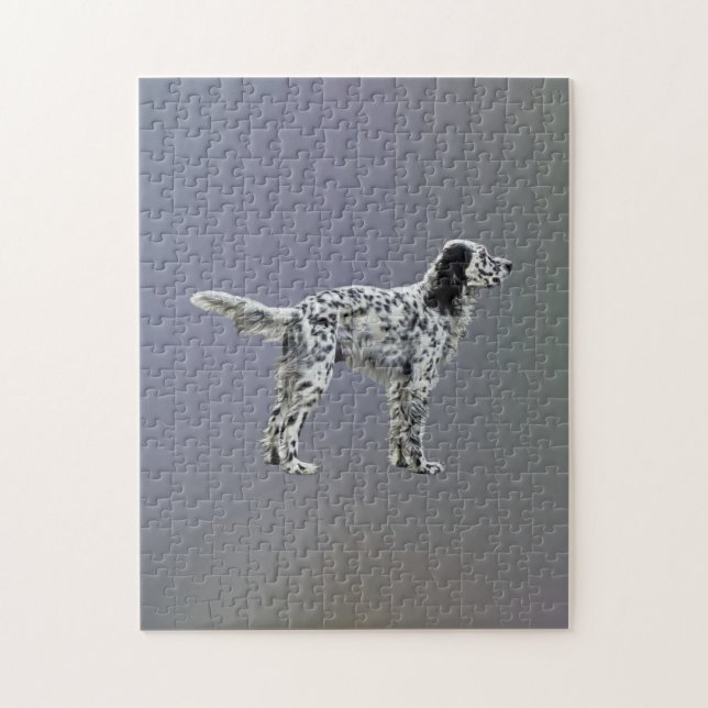 Quebra-cabeça Loewellin Setter (Vertical)