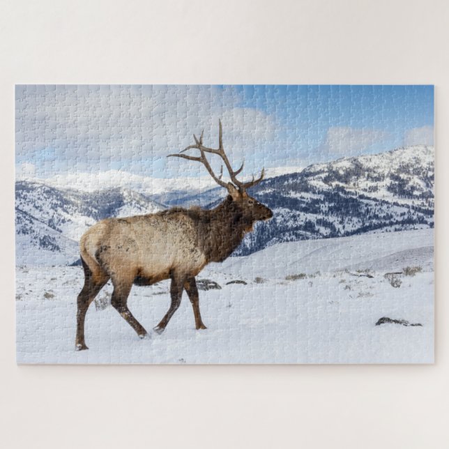 Quebra-cabeça Lone Bull Elk | Parque Nacional Yellowstone (Horizontal)