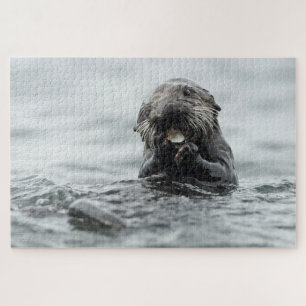Quebra-cabeça Lontra de mar adorável